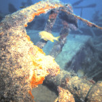 Grunt swims through the wreckage of the Monomy May 1978